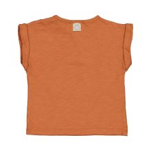 S2444818-36BRICK (2)