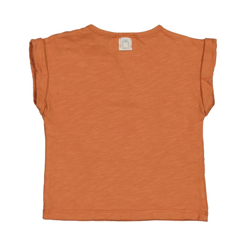 S2444818-36BRICK (2)