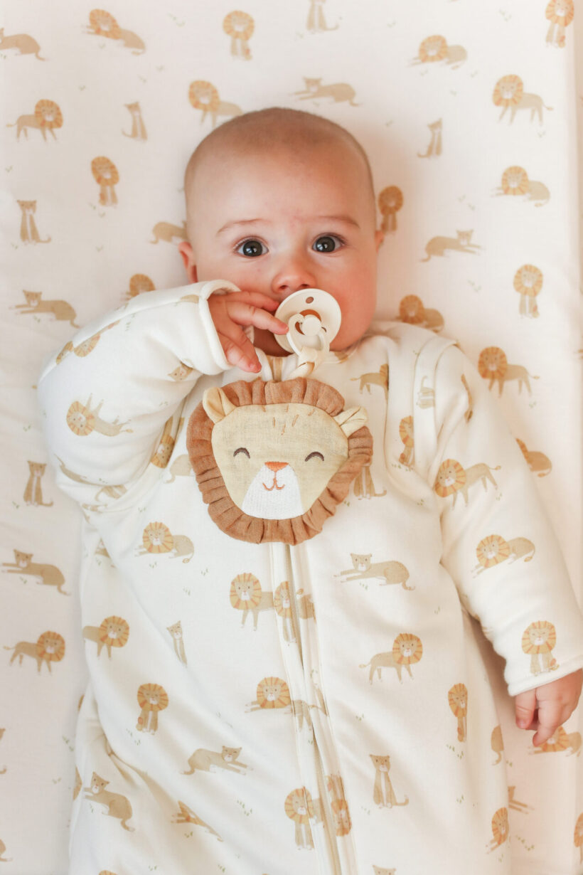 sleeping-bag-winerr-safari-leo-TE11626047-TE11726047-TE11826047-TE21226047-1